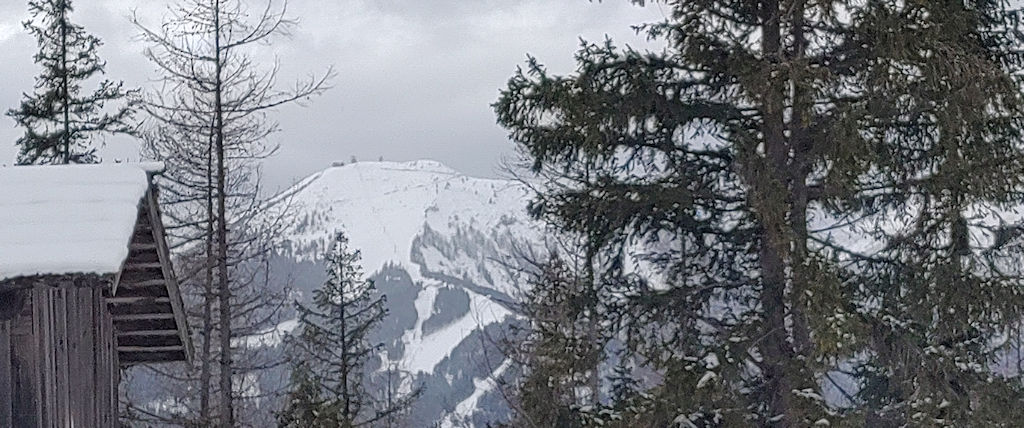 Hütte