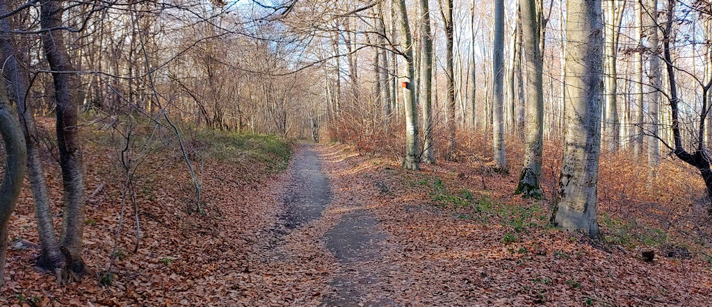 Weg