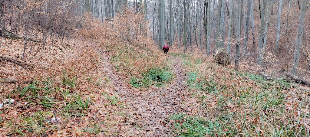 Weg