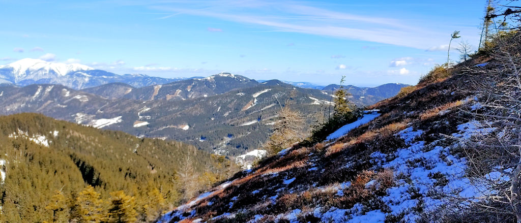 Panorama