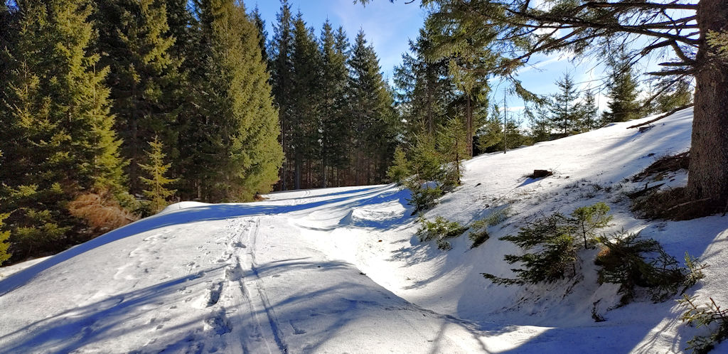 Forststraße 