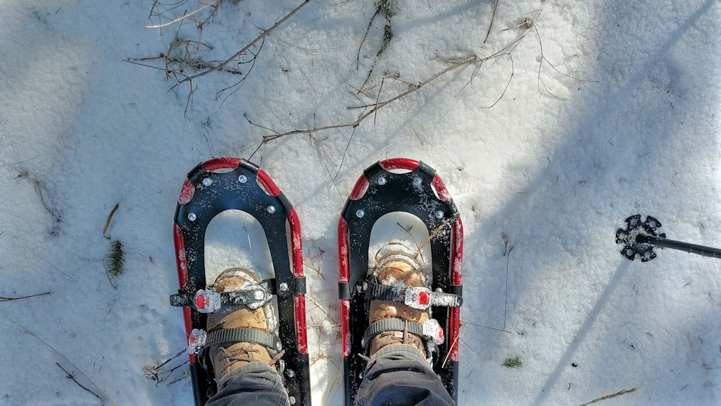 Schneeschuhe