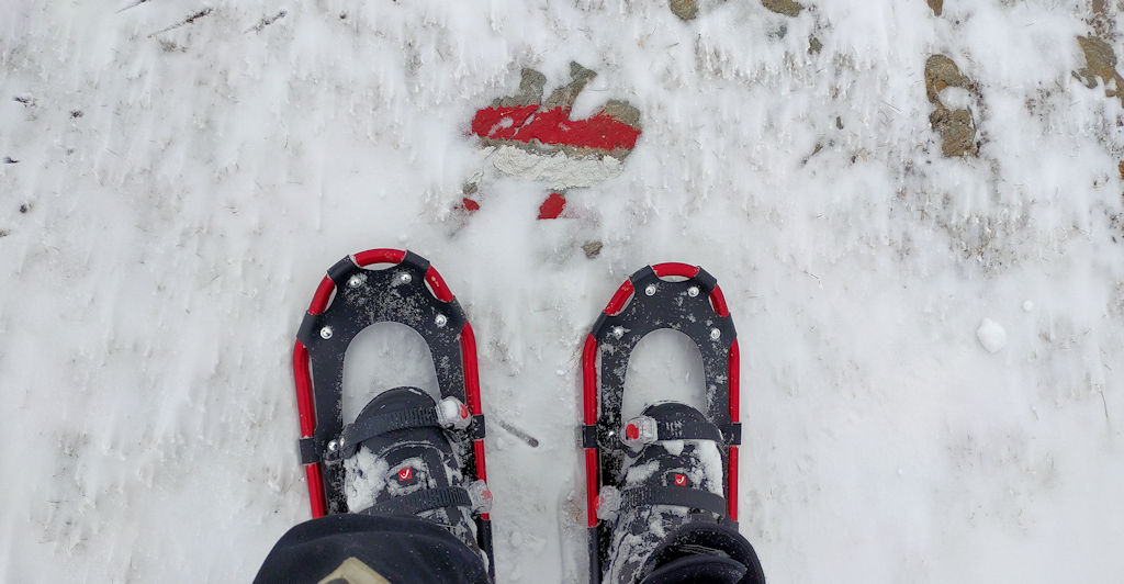 Schneeschuhe