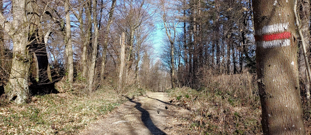 Waldweg