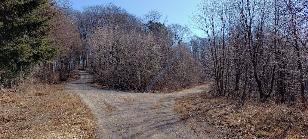 Waldweg
