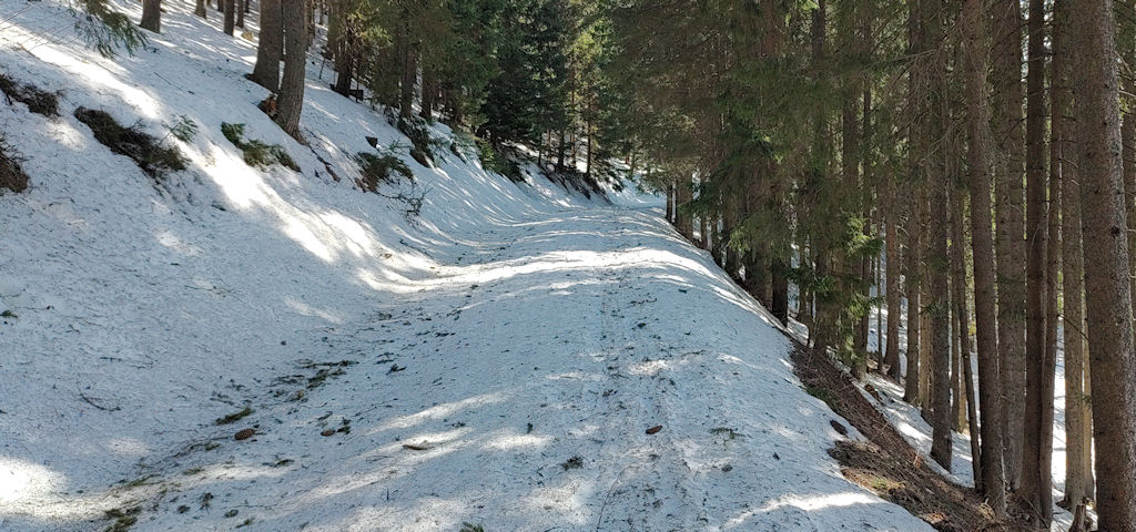 Waldweg