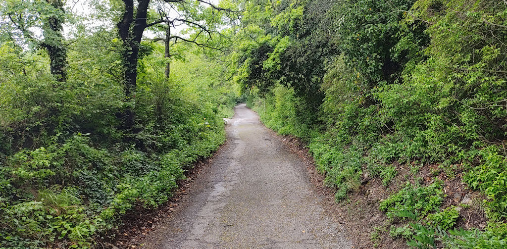 Weg