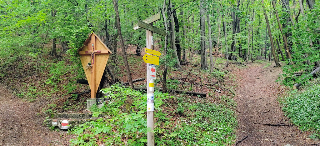 Abzweigung