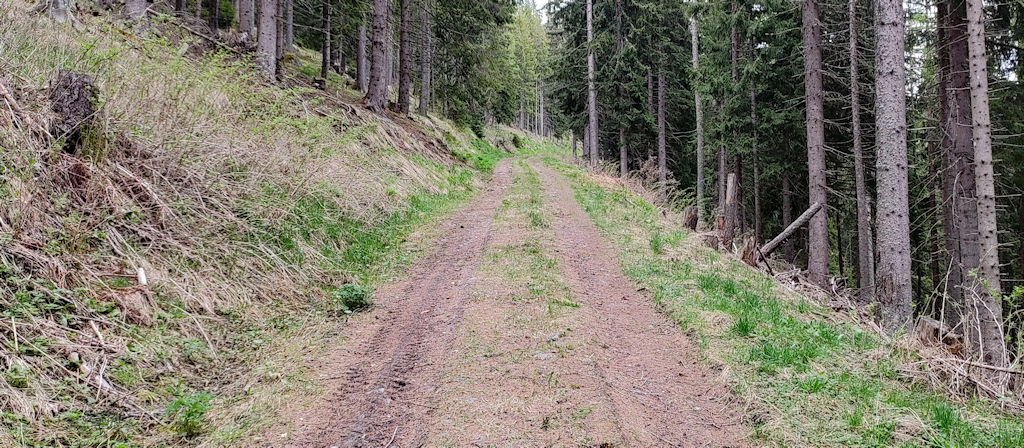 Forstweg