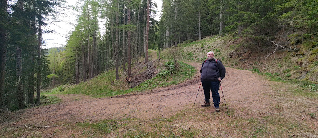 Forstweg