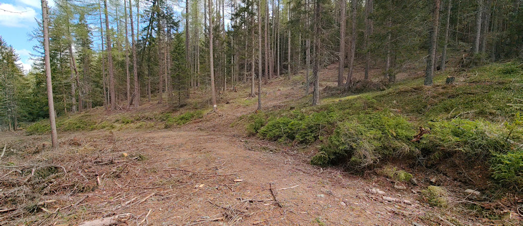 Forstweg
