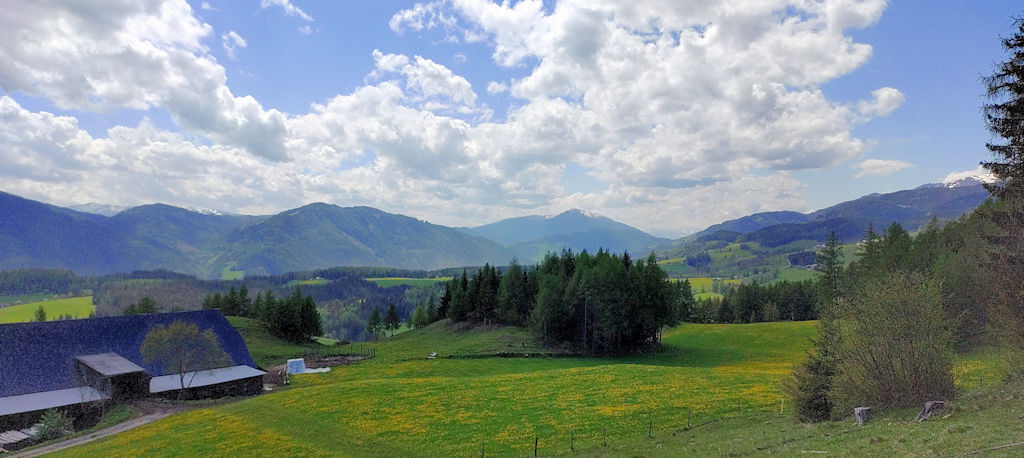 Panorama