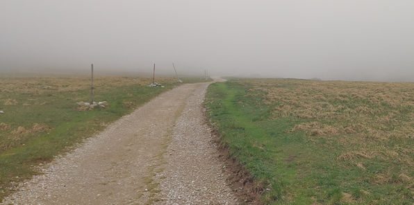 Weg