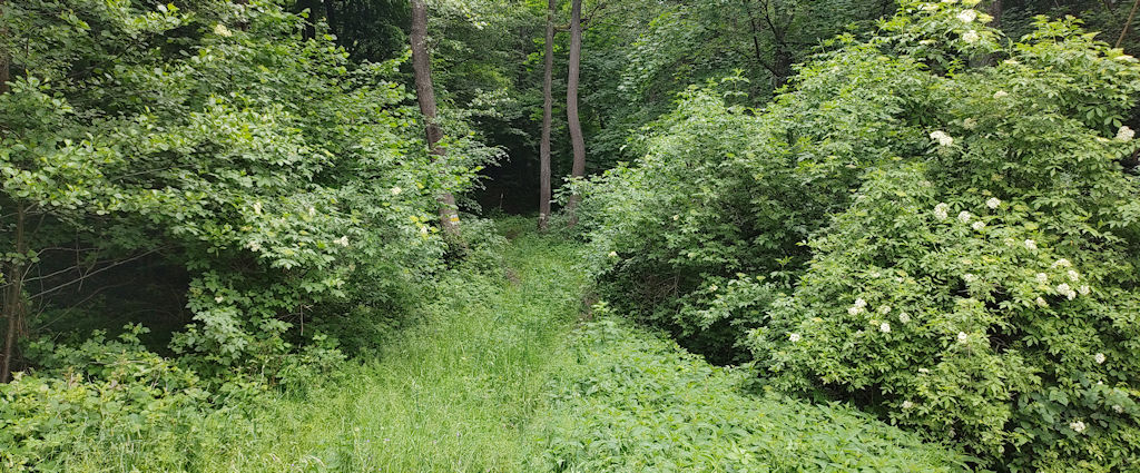 Weg
