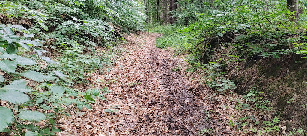 Weg