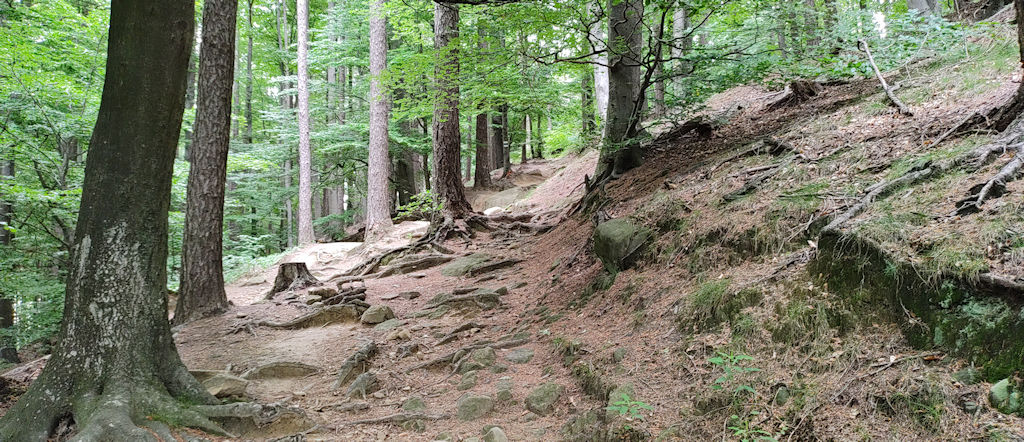 Weg