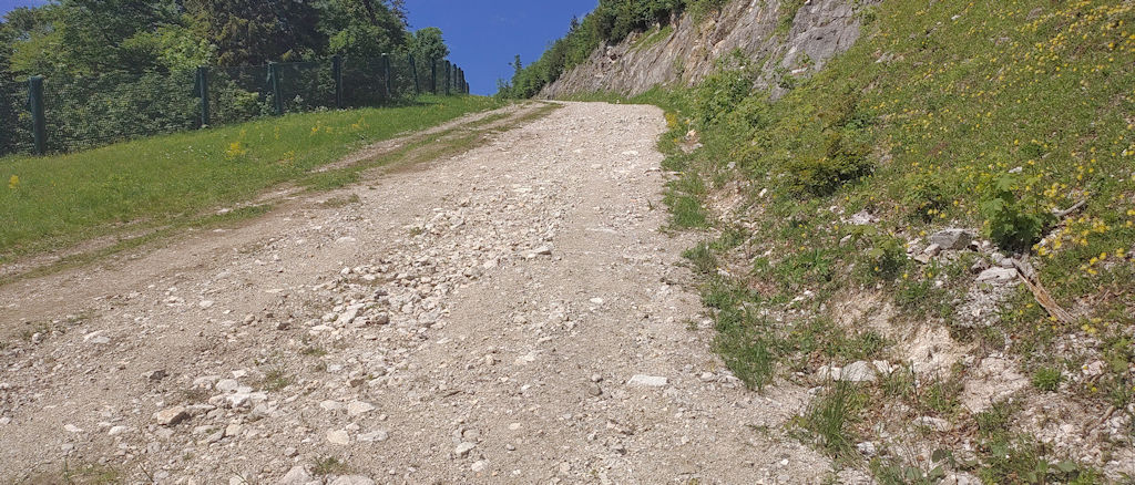 Rückweg