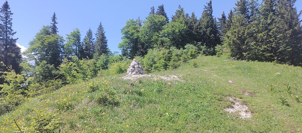 Weg