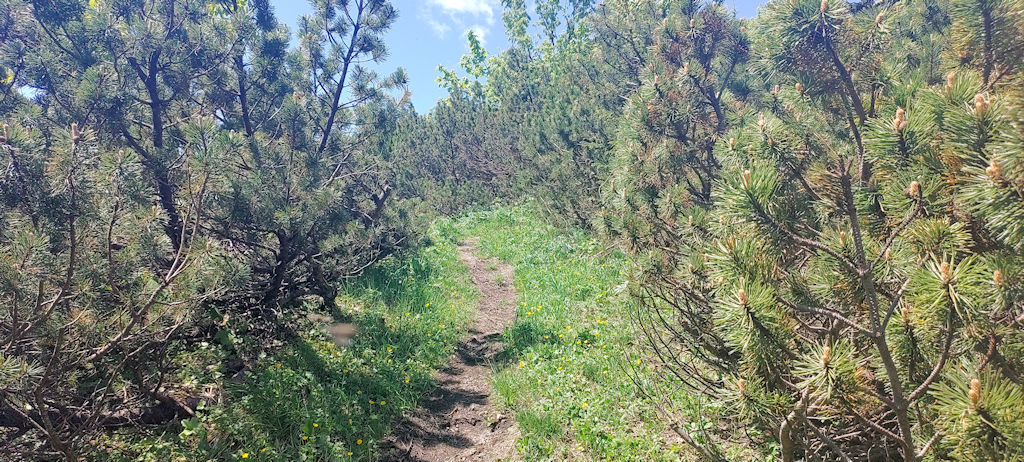 Weg