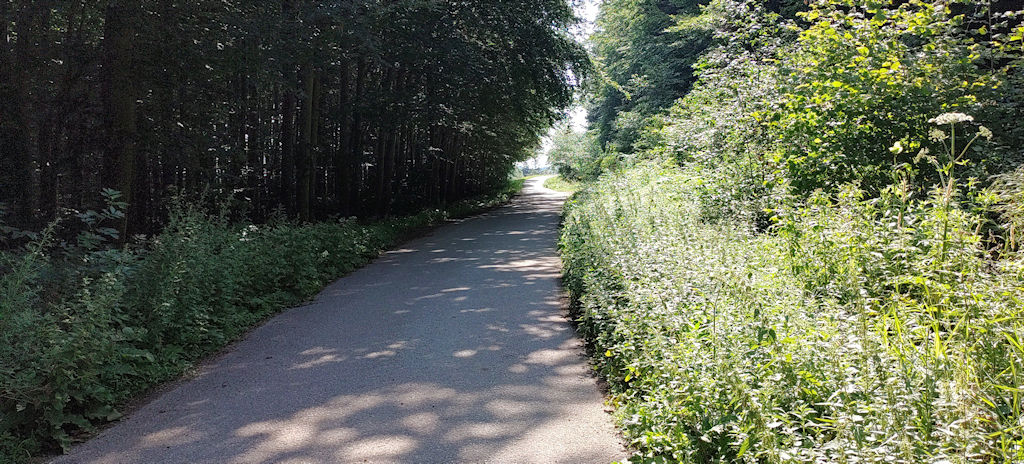 Einstieg