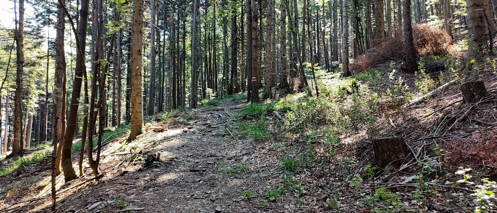 Weg