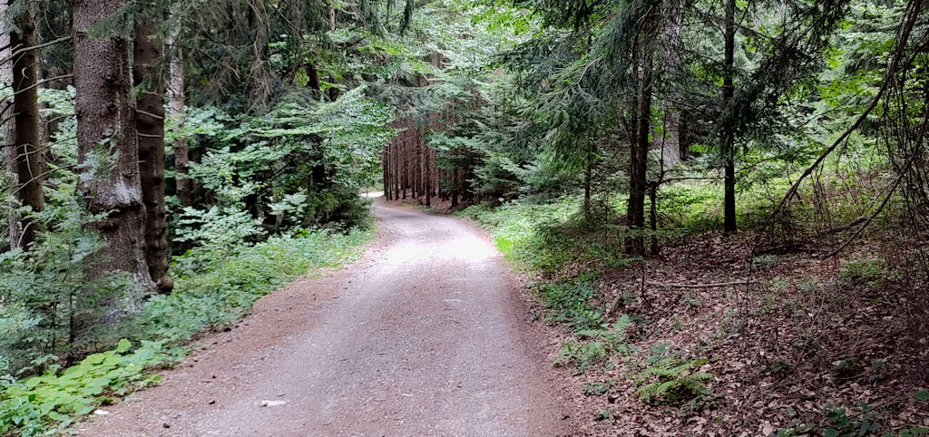 Weg