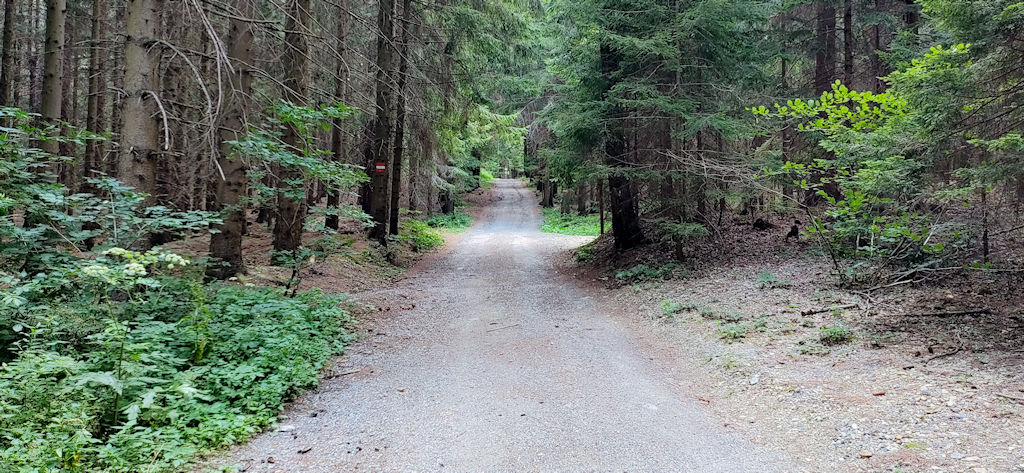 Forstweg