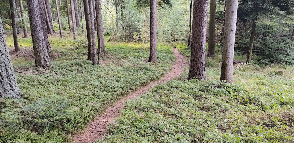Weg
