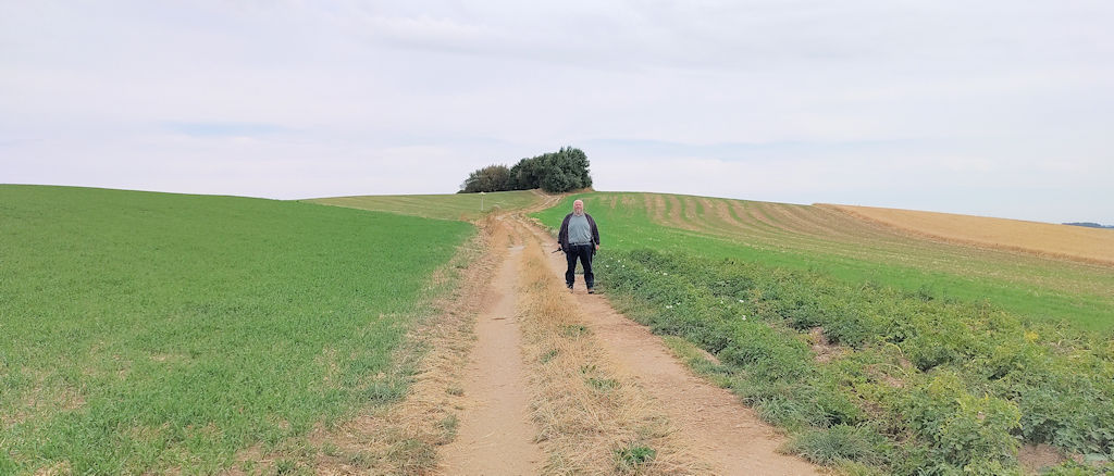 Feldweg