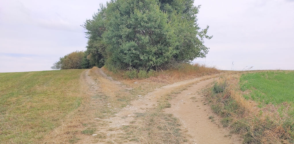 Feldweg