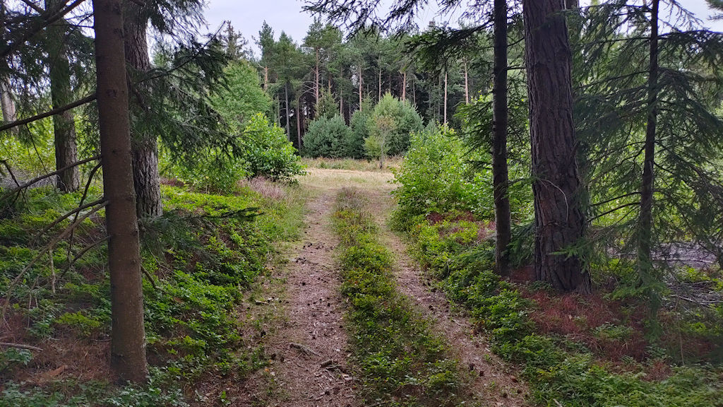 Weg