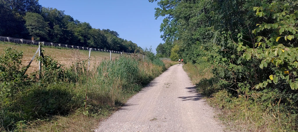 Forstweg