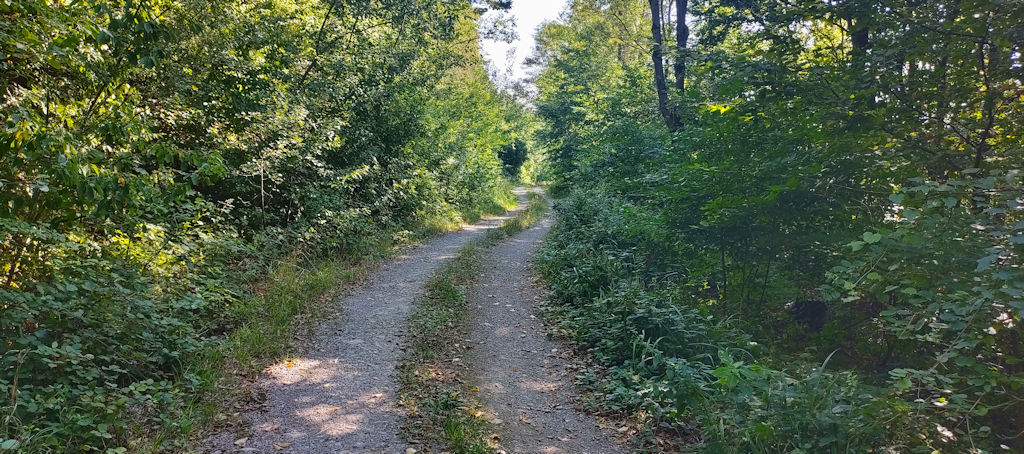 Forstweg