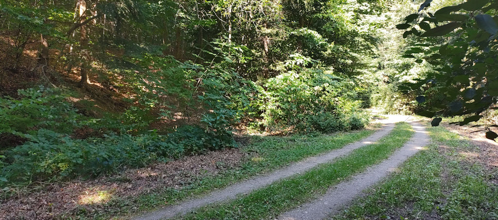 Forstweg