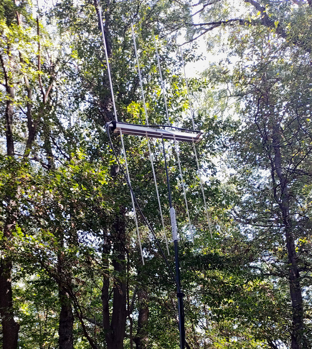 Mast