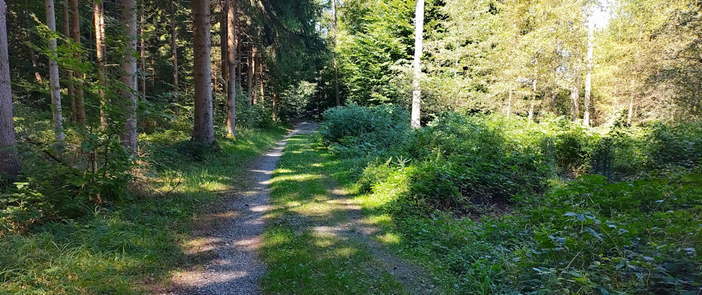 Weg