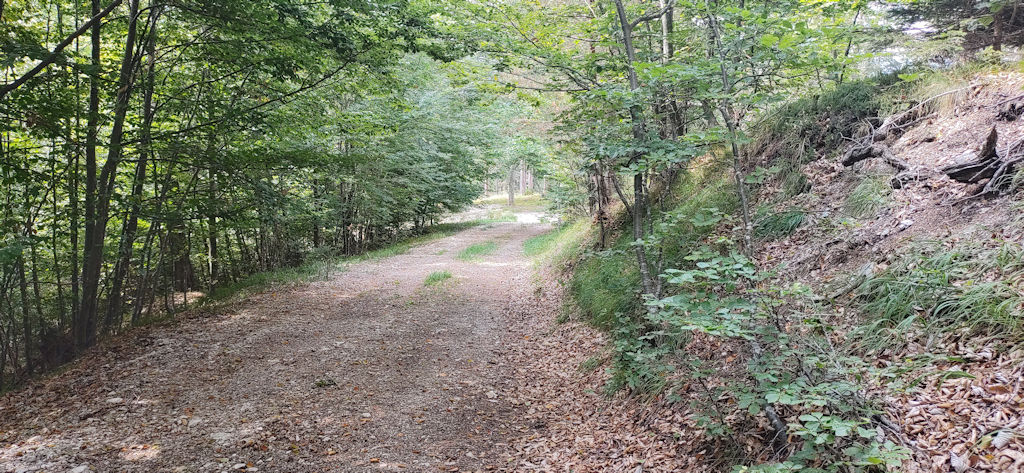 Forstweg