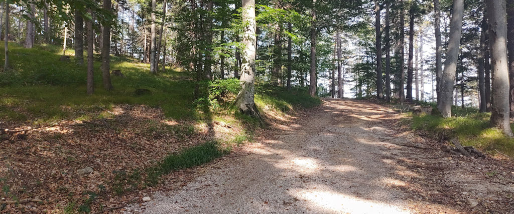 Weg