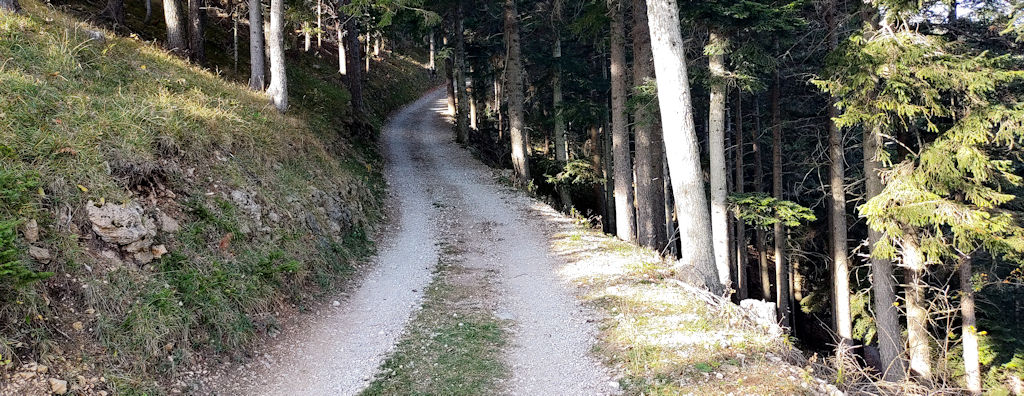 Forststraße