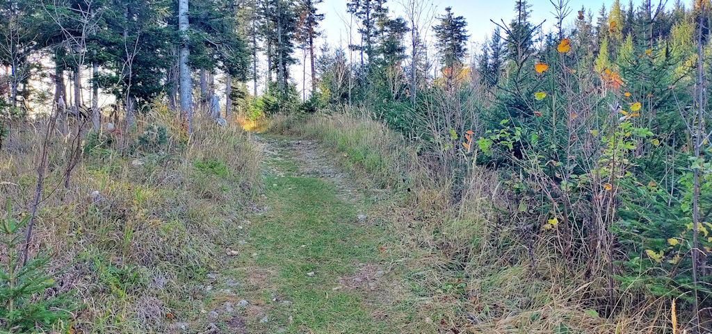 Weg