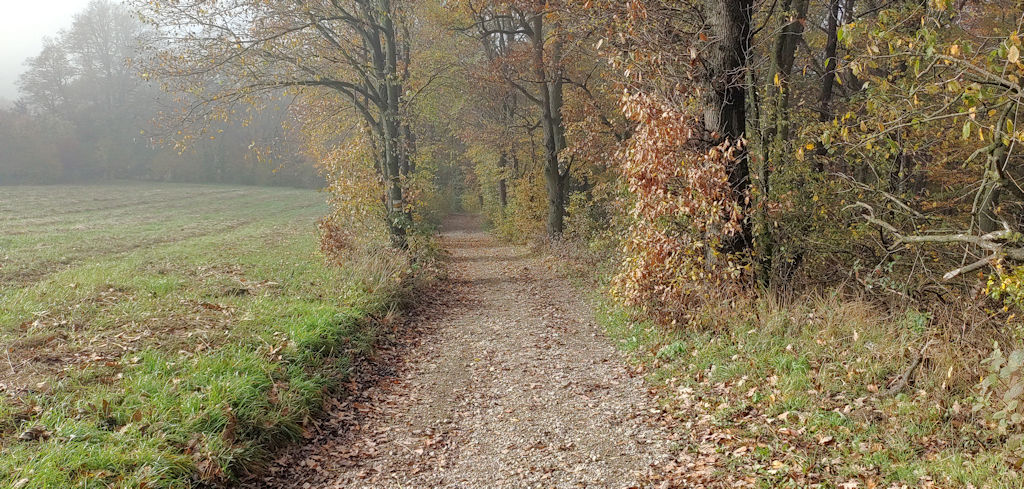 Weg
