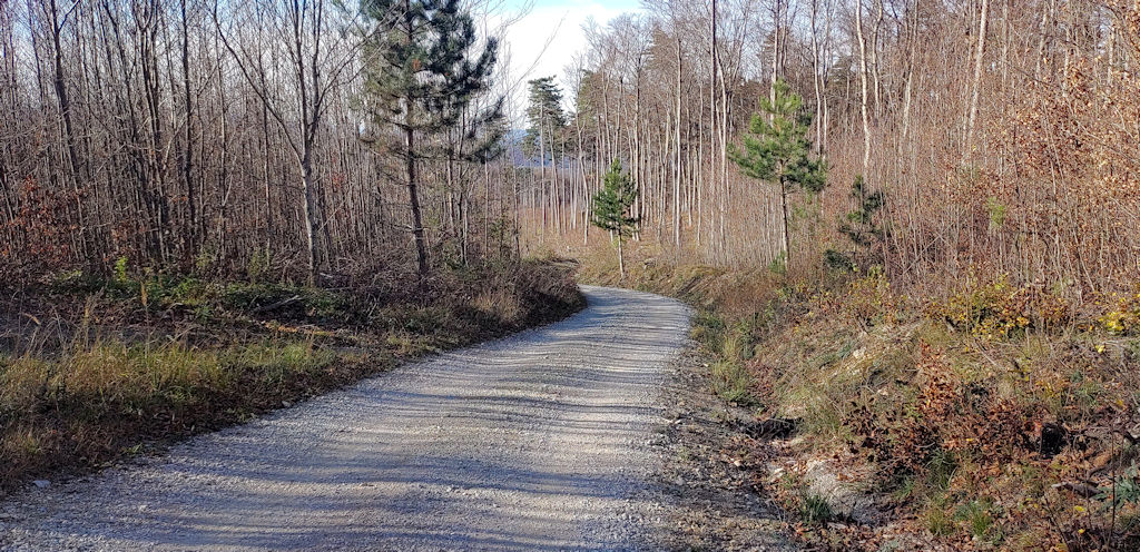 Forststraße