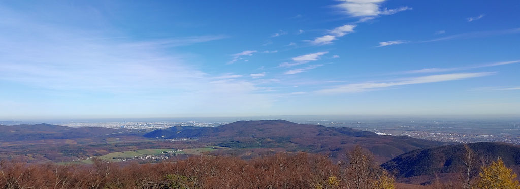 Ausblick