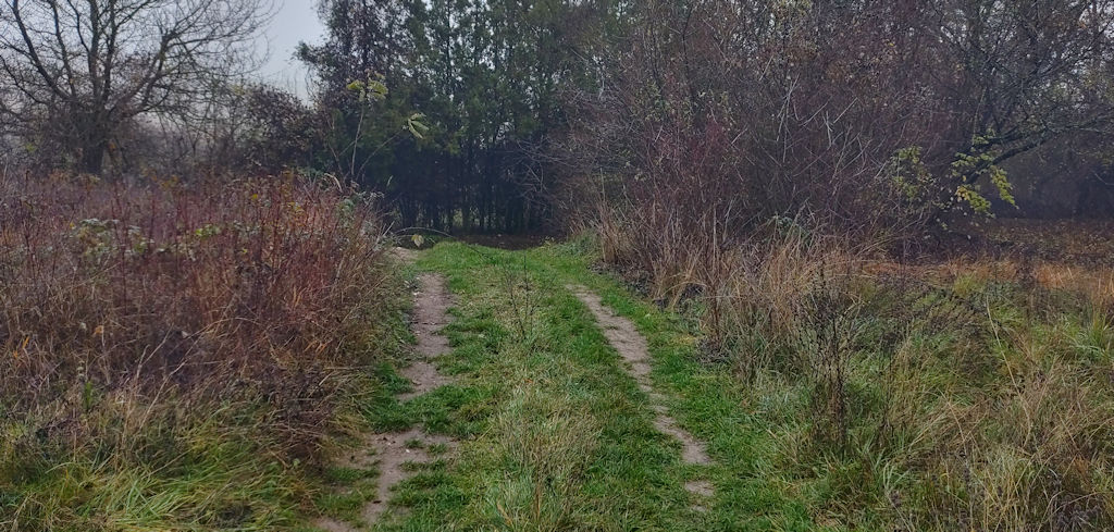 Weg