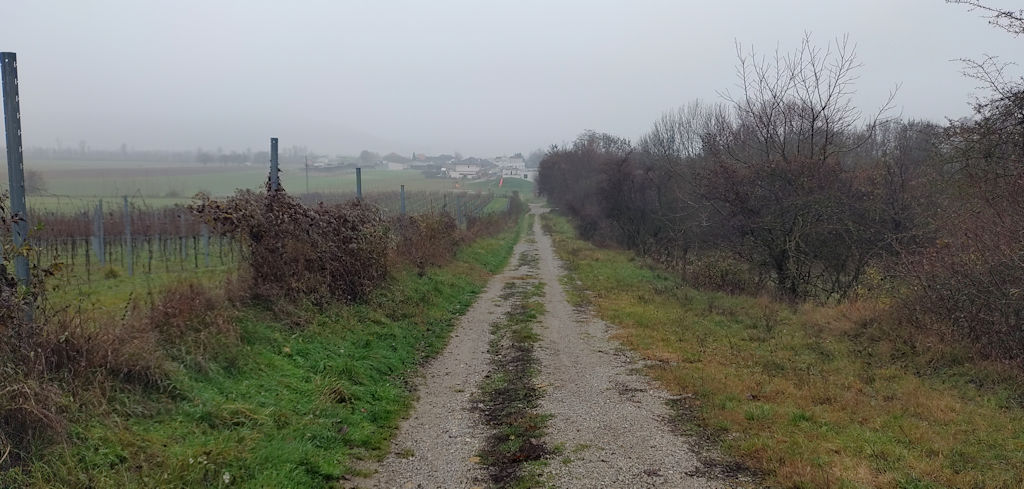 Weg