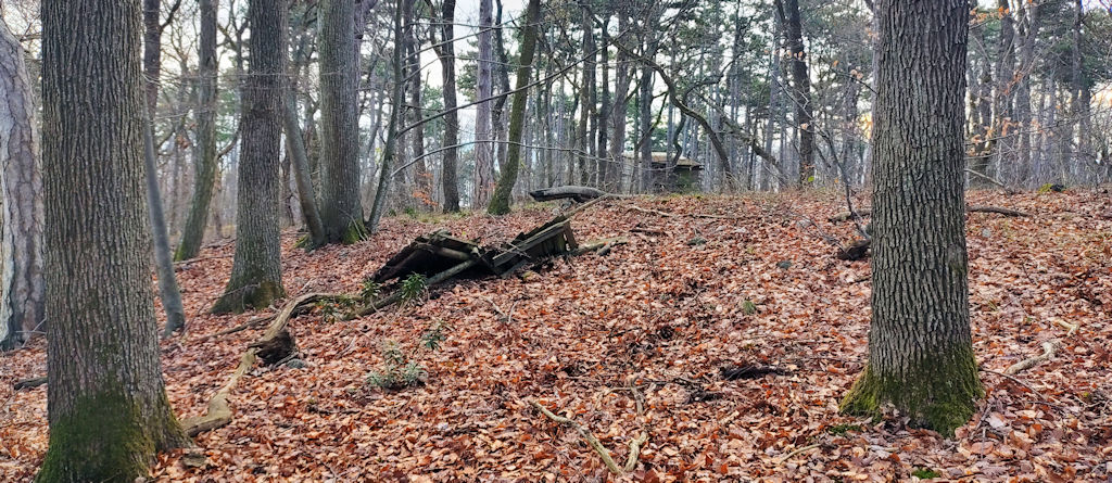 Waldwegerl