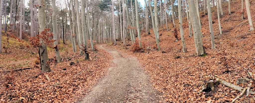 Waldwegerl