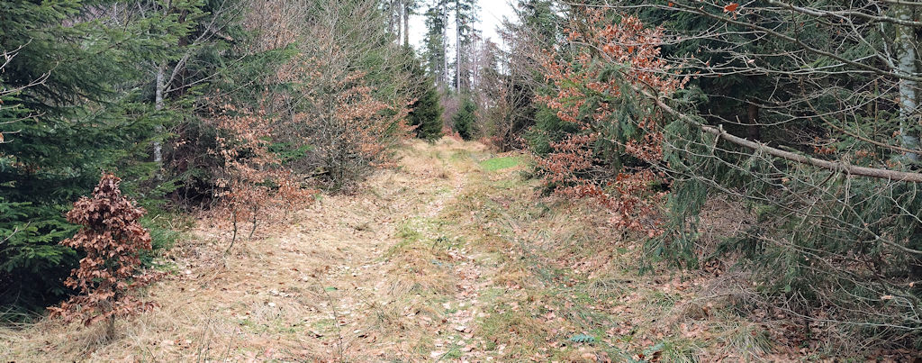 Aufstieg