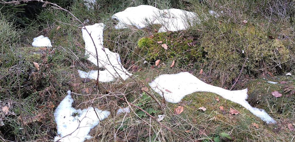 Schnee