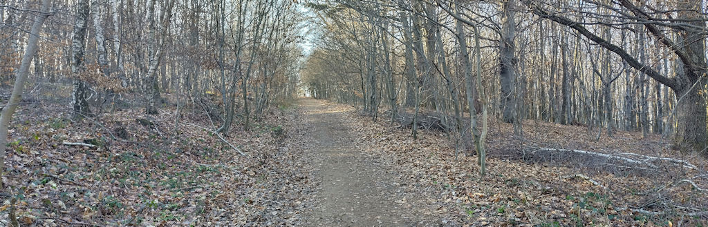 Aufstieg